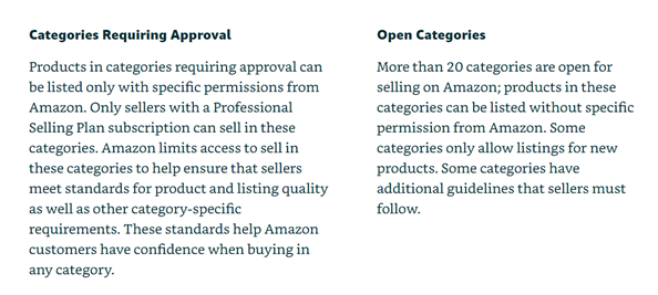 Choose Between Professional and Individual Seller Plan