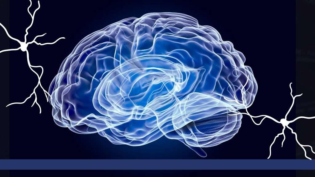 Neuromarketing