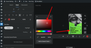 Learn How to Create Google Web Stories for WordPress 4 Backdrop color