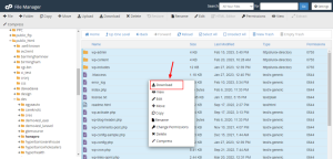Learn How to Back Up Your WordPress Website: With or Without a Plugin 11 Download WordPress Files: